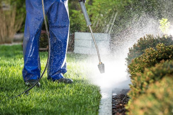 Curb Cleaning in Nashville
